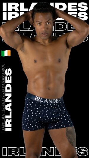 10045-AZM BÓXER GABIOTAS MARINO